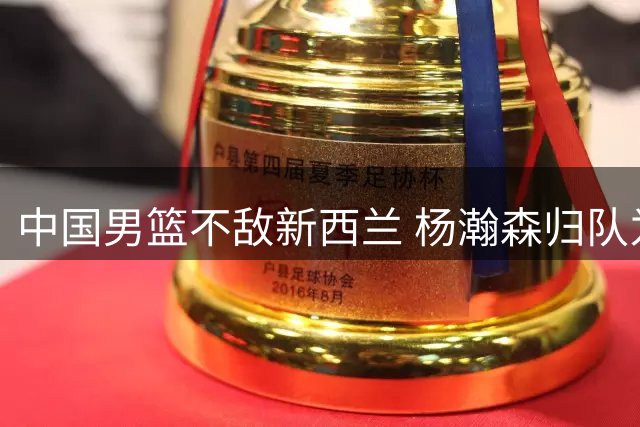 中国男篮不敌新西兰 杨瀚森归队为世预赛冲刺