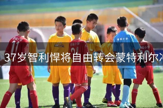 37岁智利悍将自由转会蒙特利尔冲击队